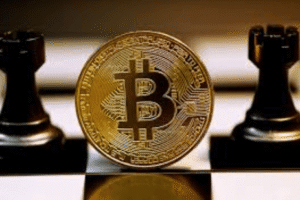 Balancing Risk and Reward in Crypto Portfolios